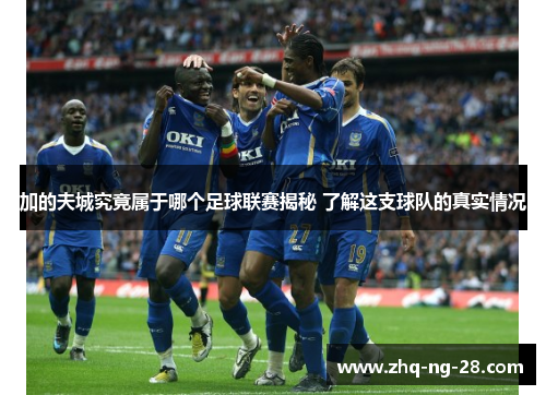 加的夫城究竟属于哪个足球联赛揭秘 了解这支球队的真实情况