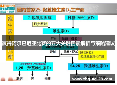 赢得阿尔巴尼亚比赛的五大关键因素解析与策略建议