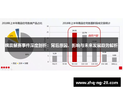 魏震禁赛事件深度剖析：背后原因、影响与未来发展趋势解析